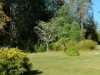 Bild 17