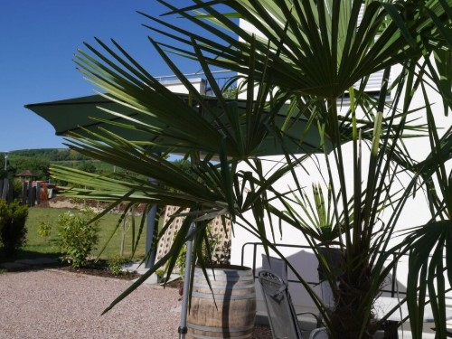 Holiday home - 7 persons -  - 79361 - Sasbach- Leiselheim