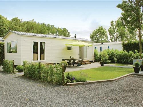 Holiday home - 4 persons -  - Vogels' Tún - 8851 HT - Tzummarum