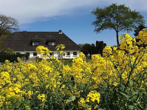 Sommerhus - 4 personer -  - 24376 - Kappeln