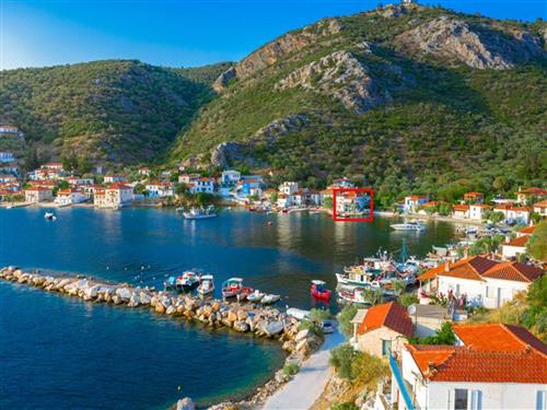 Ferielejlighed - 2 personer -  - Alogoporos - 37009