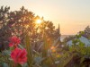 Bild 34 - Aussen