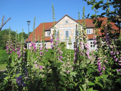 Holiday apartment - 2 persons -  - Am Park - 18337 - Marlow Ot Alt Guthendorf