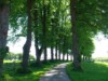 Billede 42