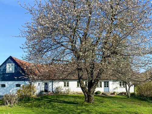 Holiday home - 10 persons -  - Grönamossavägen - Kivik/Simrishamn - 272 95 - Simrishamn