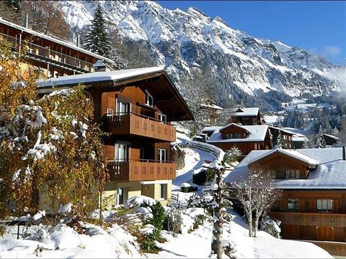 Holiday Home/Apartment - 2 persons -  - Chalet Gerbera - 3823 - Wengen