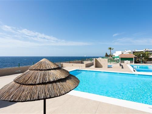 Ferienhaus - 6 Personen -  - Hesperides1  Apartment direkt am Meer - 38630 - Costa Del Silencio