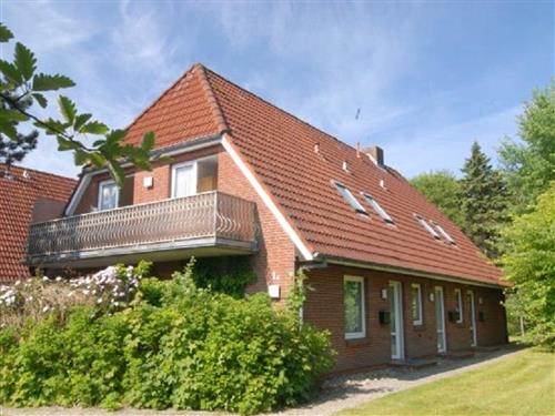 Ferienhaus - 4 Personen -  - Böhler Landstraße - 25826 - St. Peter-Ording