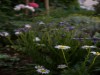 Bild 22
