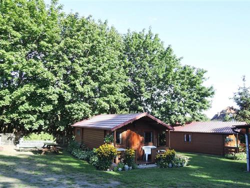 Bungalow - 3 Personen -  - 72-500 - Lubin