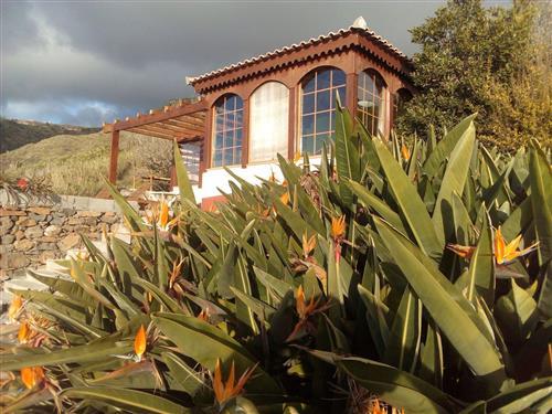 Feriehus - 2 personer -  - Arco Da Calheta - 9370 378