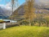 Afbeelding 7