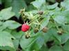 Bild 35 - Innen