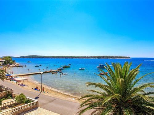 Ferielejlighed - 5 personer -  - Banjol - Rab-Banjol - 51280 - Banjol