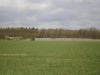 Afbeelding 39