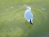 Bild 18