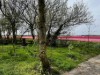 Bild 15