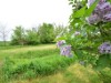 Image 31
