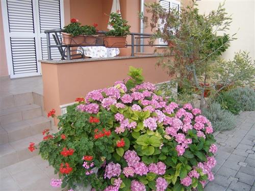 Holiday Home/Apartment - 4 persons -  - Sukošan - 23206 - Sukošan