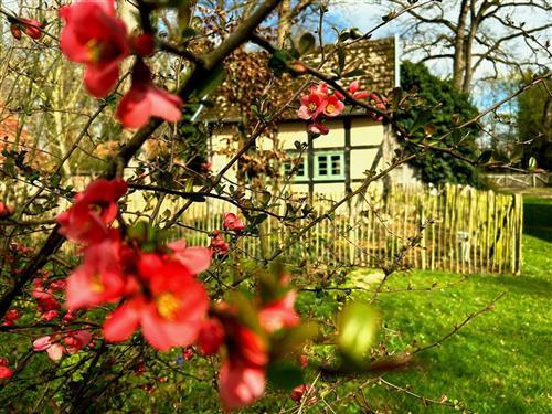Feriehus - 3 personer -  - Donstorf - 49406 - Eydelstedt