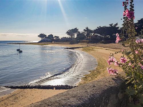 Semesterhus/Semesterlägenhet - 2 personer -  - Impasse des Saulniers - Noirmoutier En L'ïle - 85630 - Barbatre