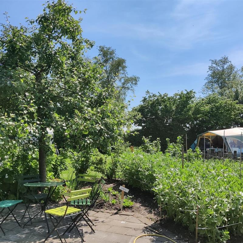 Sommerhus - 4 personer -  - 8483 JM - Scherpenzeel (Fr)