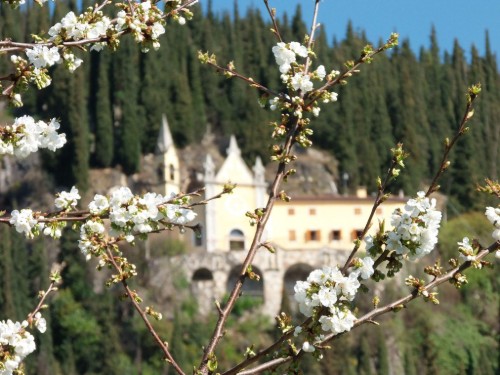 Holiday apartment - 4 persons -  - Alleghe - 32022