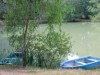 Bilde 7