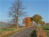 Bilde 3