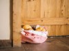 Bilde 4