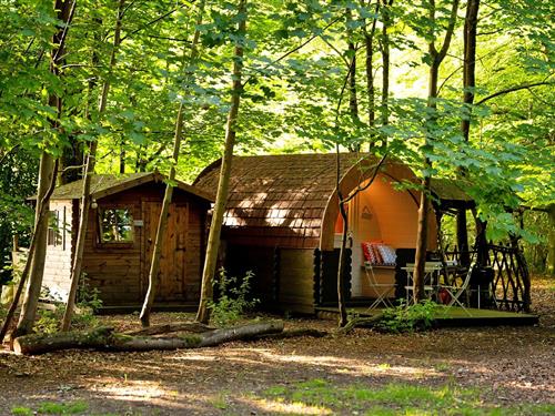 Chalet - 4 persons -  - RG20 9XR - Woolton Hill