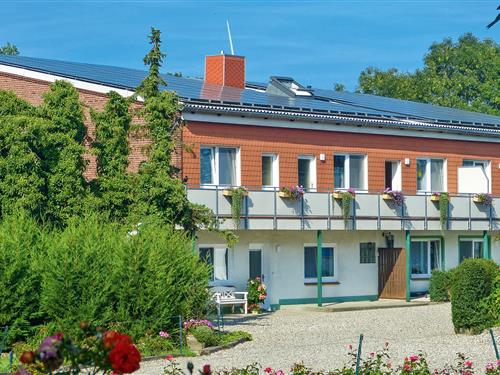 Ferieleilighet - 4 personer -  - Dorfstraße - 23769 - Klausdorf / Fehmarn Ostse