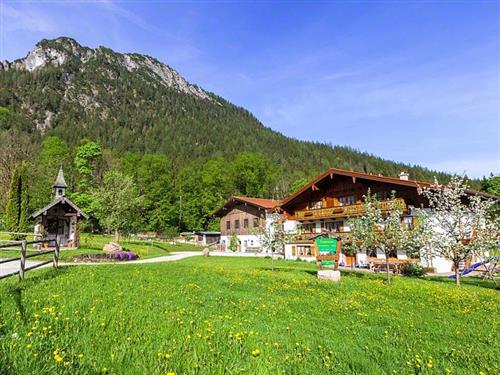 Ferienhaus - 2 Personen -  - Artenreitweg - 83471 - Schönau Am Königssee