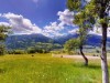 Bild 66