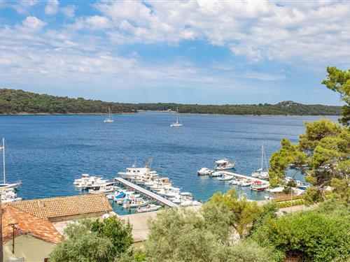 Sommerhus - 6 personer -  - Poljana II - Losinj-Mali Losinj - 51550 - Mali Losinj