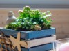 Bilde 13