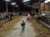 Bild 19