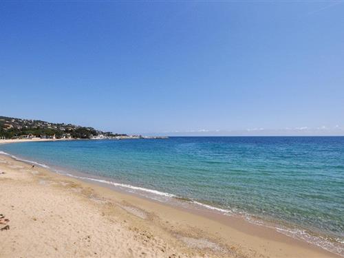 Holiday apartment - 4 persons -  - avenue du souvenir Français - Sainte Maxime - 83120 - Sainte-Maxime