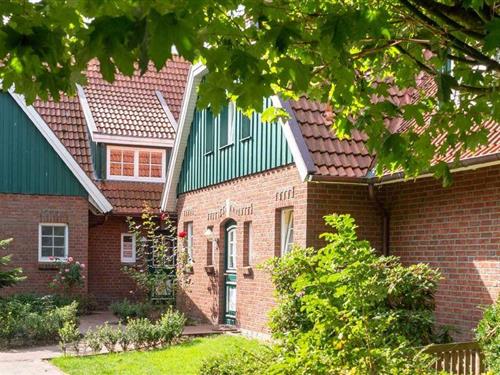 Ferielejlighed - 2 personer -  - Süderloog - 26474 - Spiekeroog