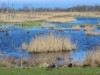 Bild 17