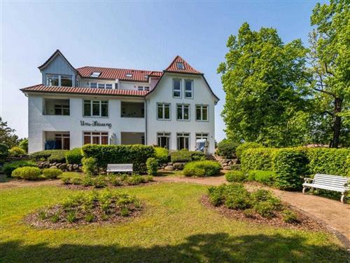 Ferienhaus - 4 Personen -  - Dünenweg - 23946 - Boltenhagen