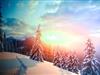 Bild 39