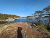 Bilde 24 - Utsikt over vann