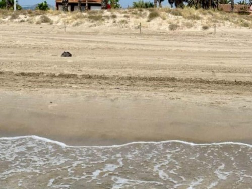 Sommerhus - 12 personer -  - El Grao - 12100