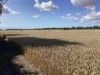 Bilde 4 - Ude
