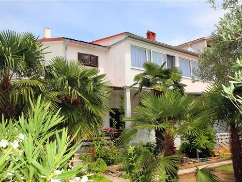 Semesterhus/Semesterlägenhet - 5 personer -  - Vodice - 22211 - Vodice