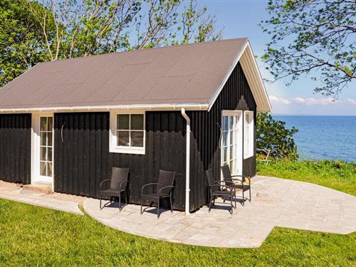 Ferienhaus - 2 Personen -  - Græskobbel - Asserballeskov - 6440 - Augustenborg