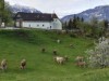 Bild 45