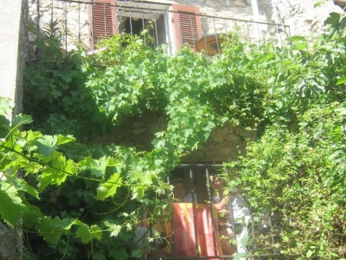 Fritidshus - 6 personer -  - 83630 - Régusse