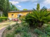 Image 29 - Outside